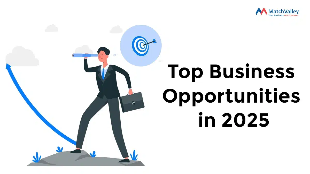 Top Business Opportunities in 2025: All You Need To Know