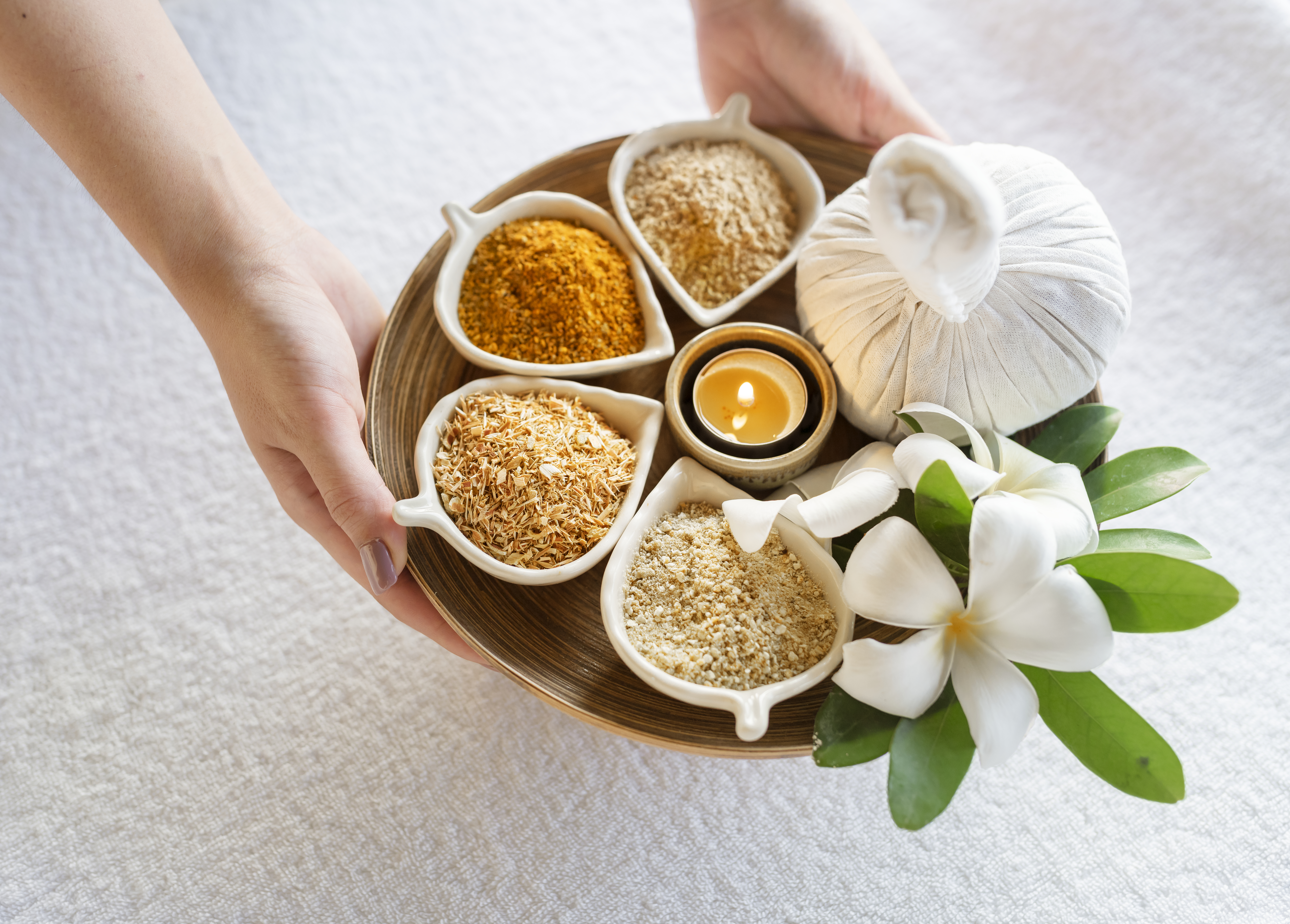 Looking for Investors in a Trusted Ayurvedic Wellness Center with Global Reach