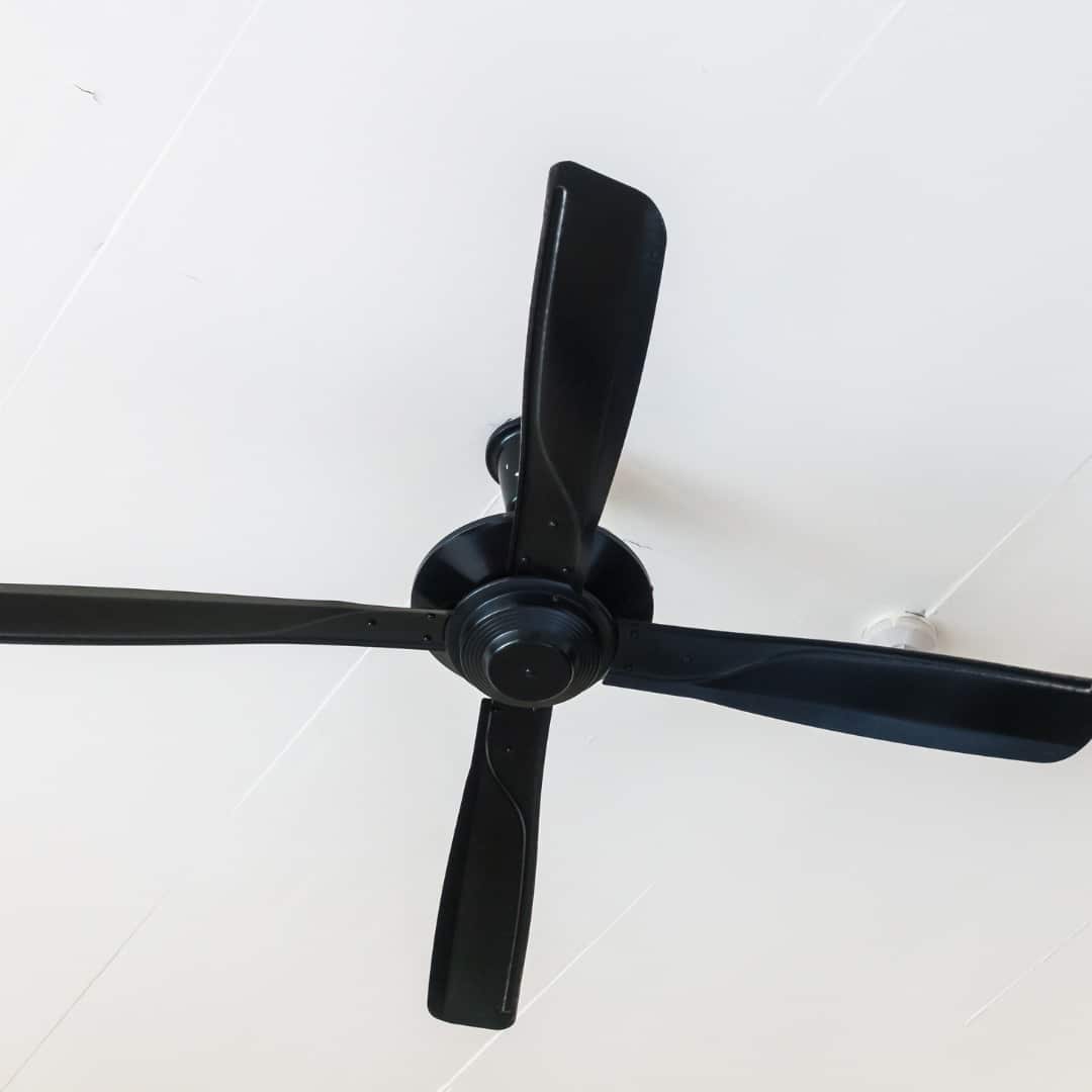 Seeking Investor: Profitable Consumer‑Electric Startup in Kerala’s Fan Market
