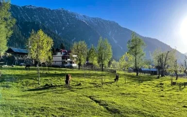 beautiful-landscape-arang-kel-kashmir-with-green-fields-local-houses-with-hidden-clouds-scaled-r5xvjg5eb6yn96n592zqk1z3sahjujy74qtp7rsn8g